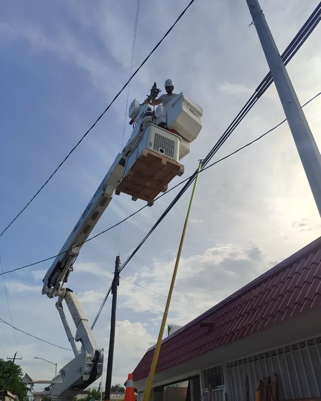 Grúa con canastilla elevando una planta estacionaria sobre su tarima, con un operador con casco